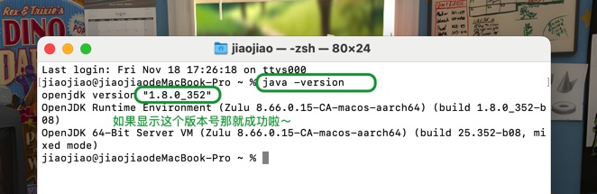 图片[2]-「Java环境安装&JDK」Java8开发环境安装包-MAC星球